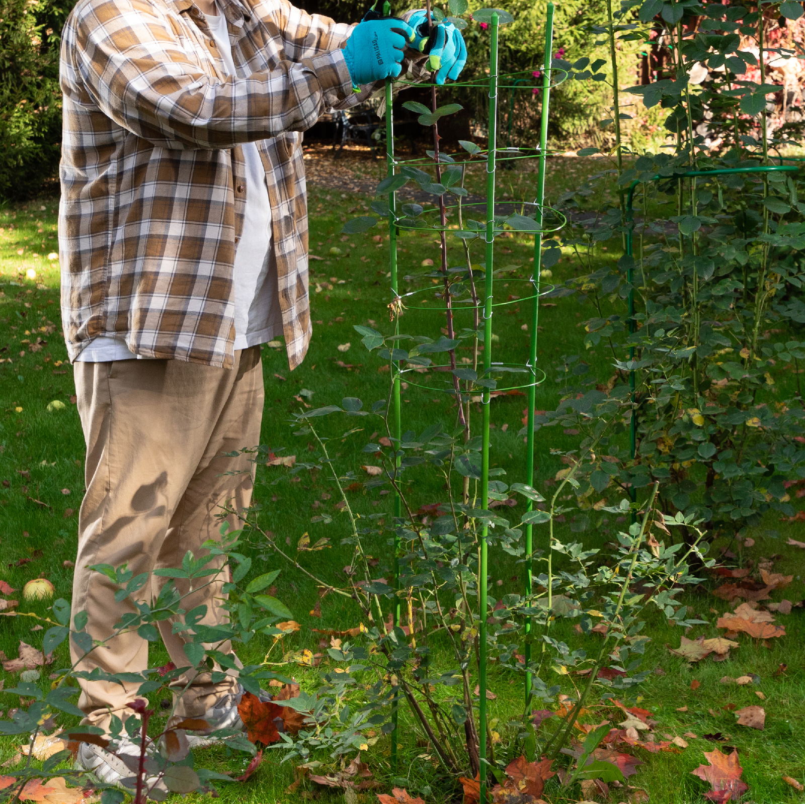 Миниатюра изображения товара 7