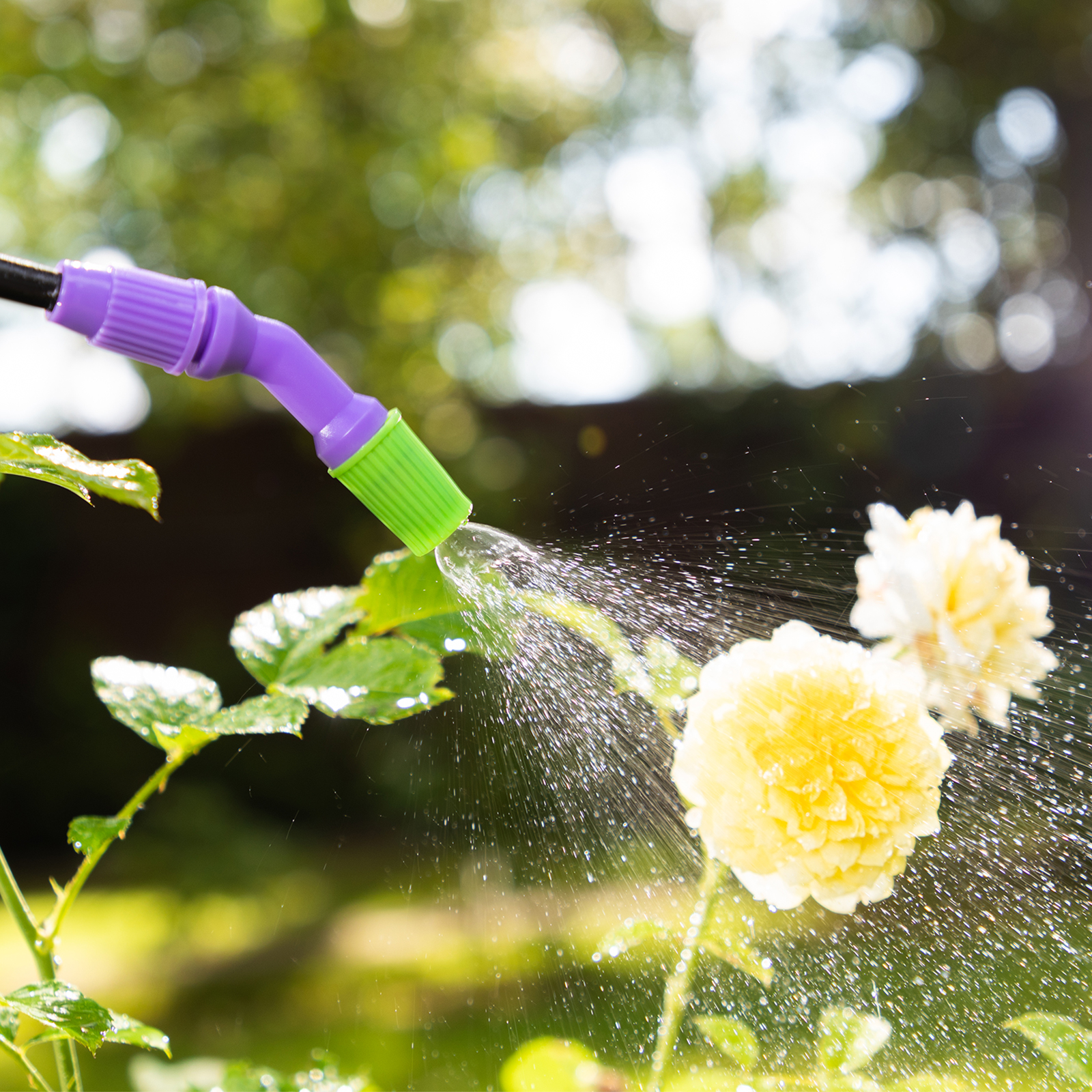 Миниатюра изображения товара 14