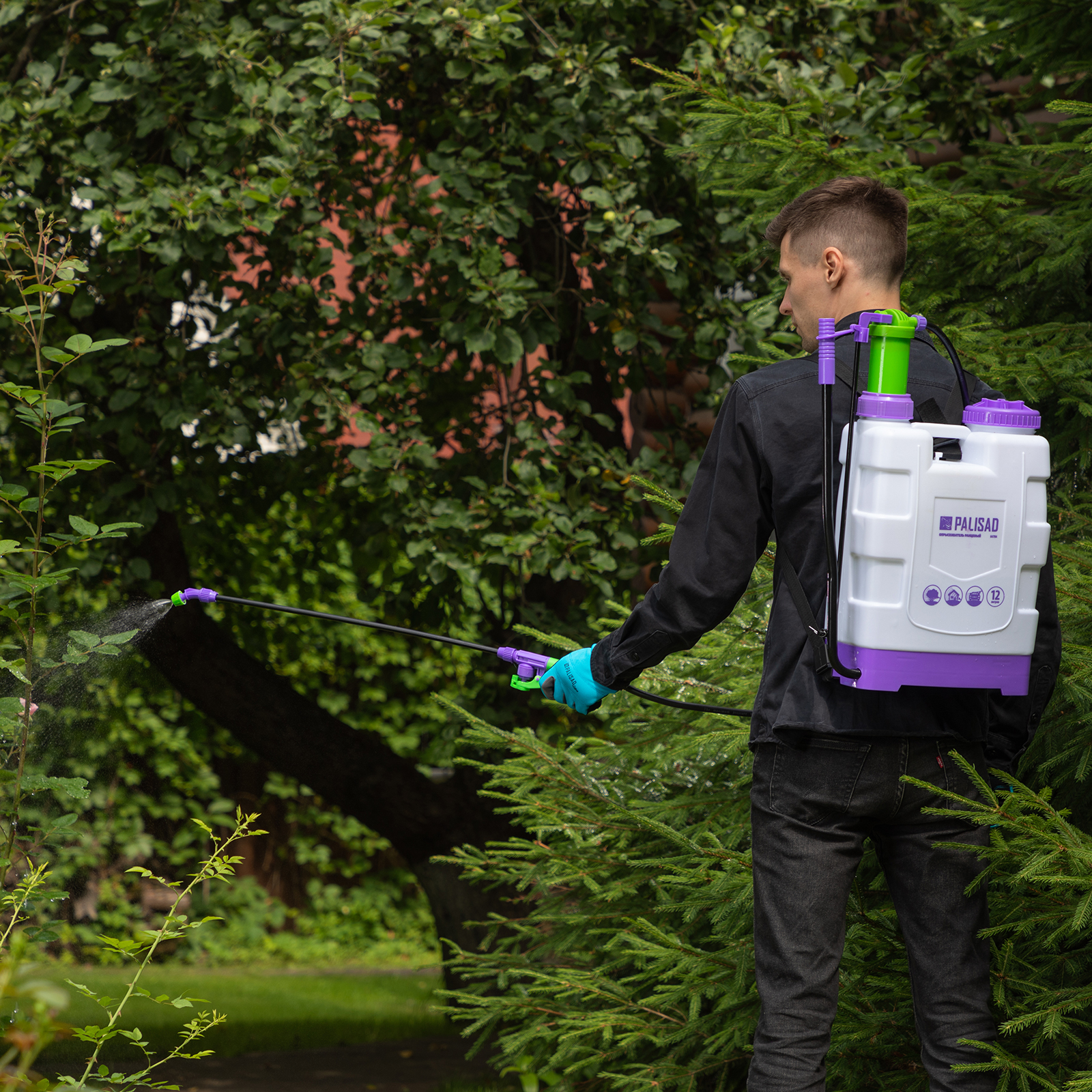 Миниатюра изображения товара 13