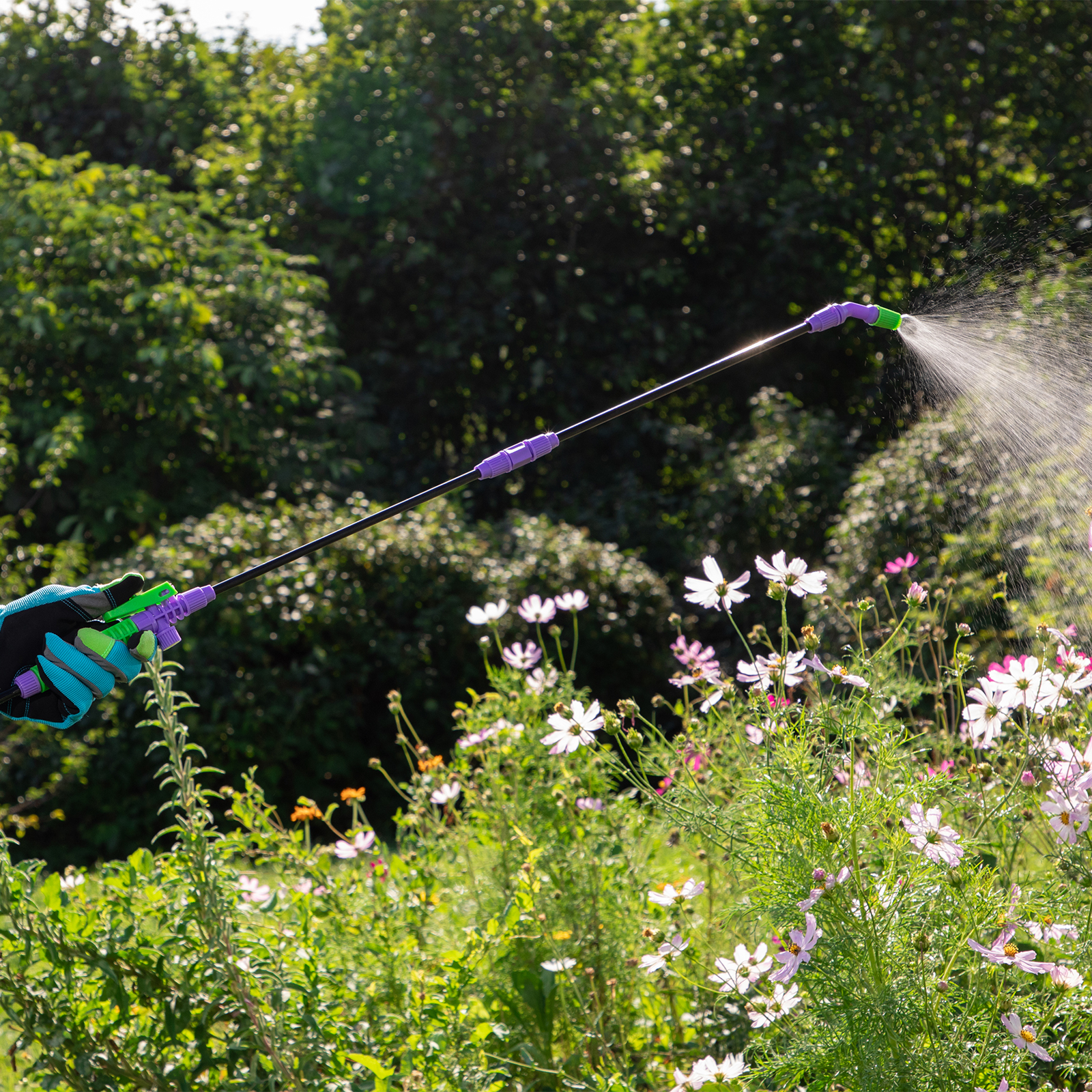 Миниатюра изображения товара 12