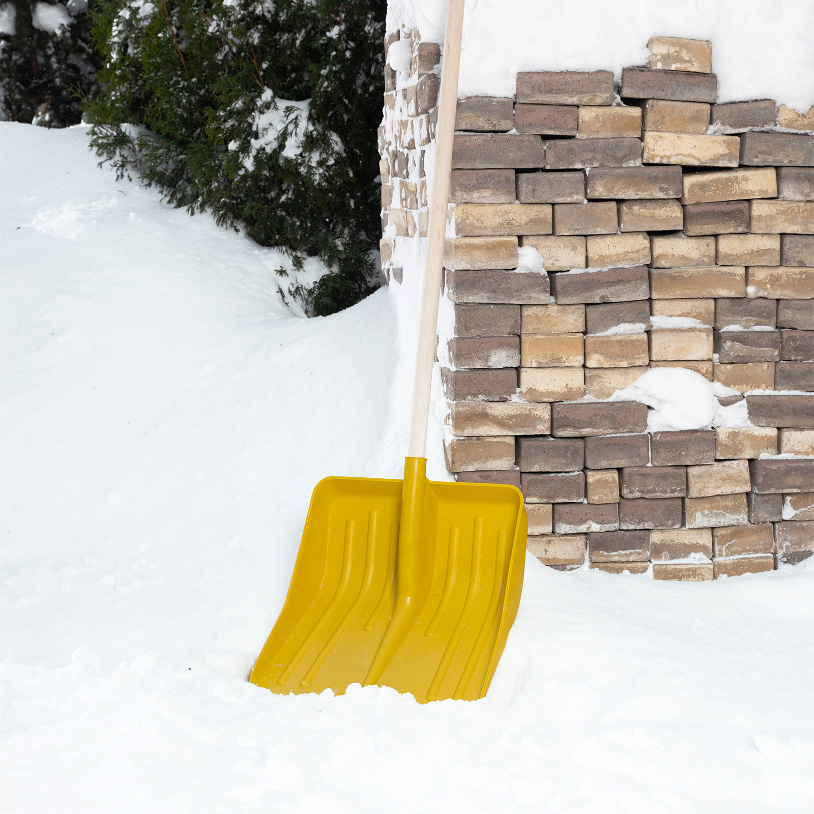 Миниатюра изображения товара 6