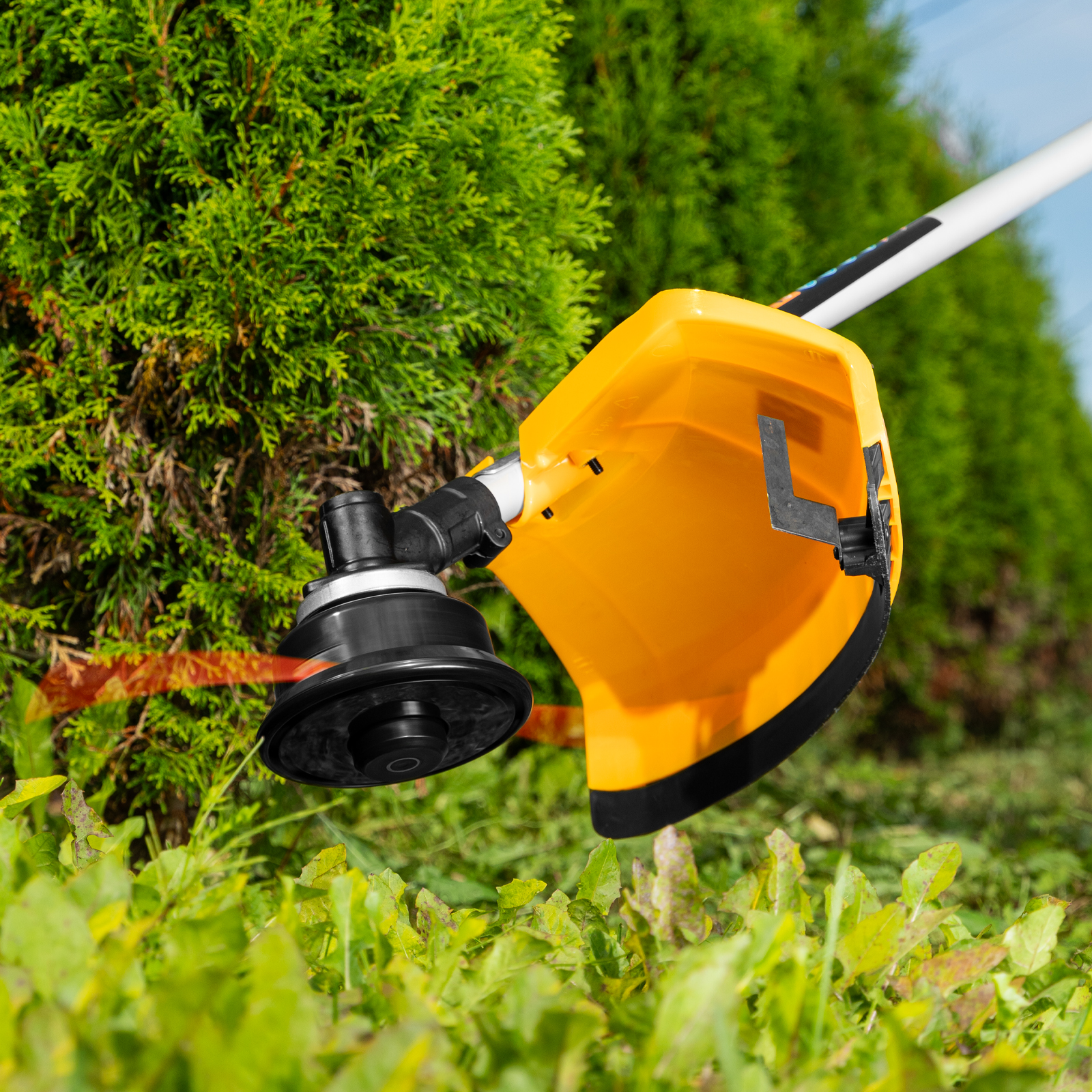 Миниатюра изображения товара 22