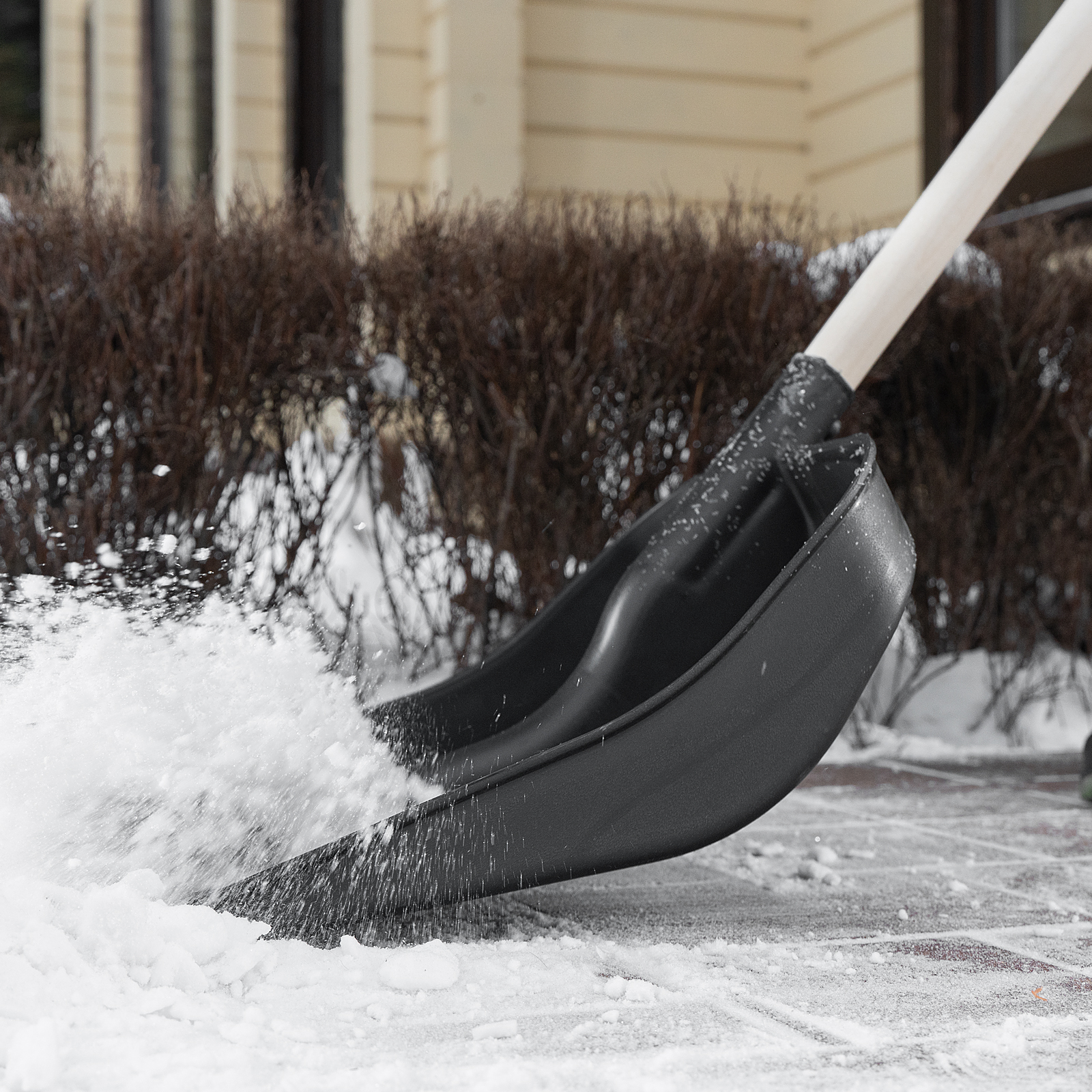 Миниатюра изображения товара 10