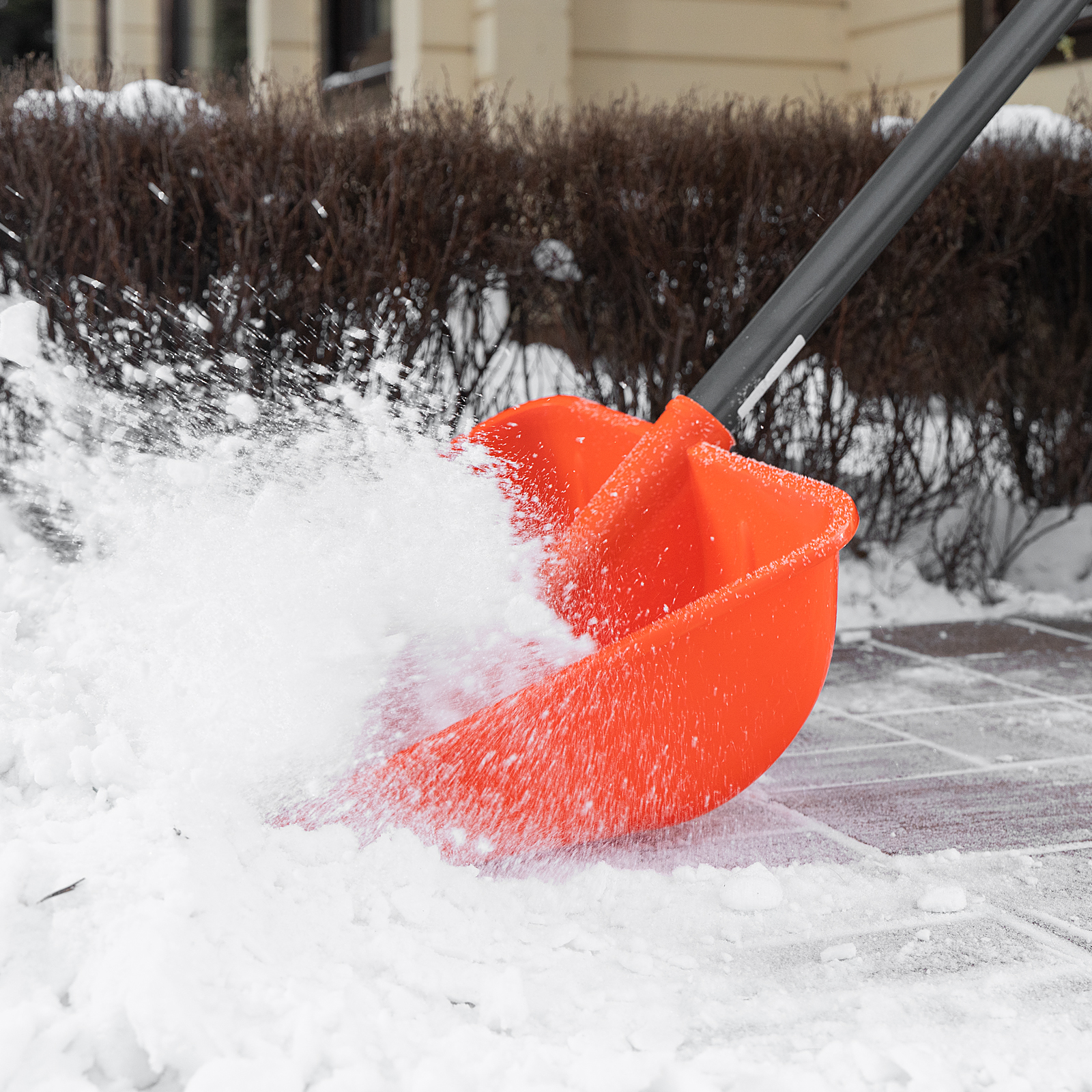 Миниатюра изображения товара 10