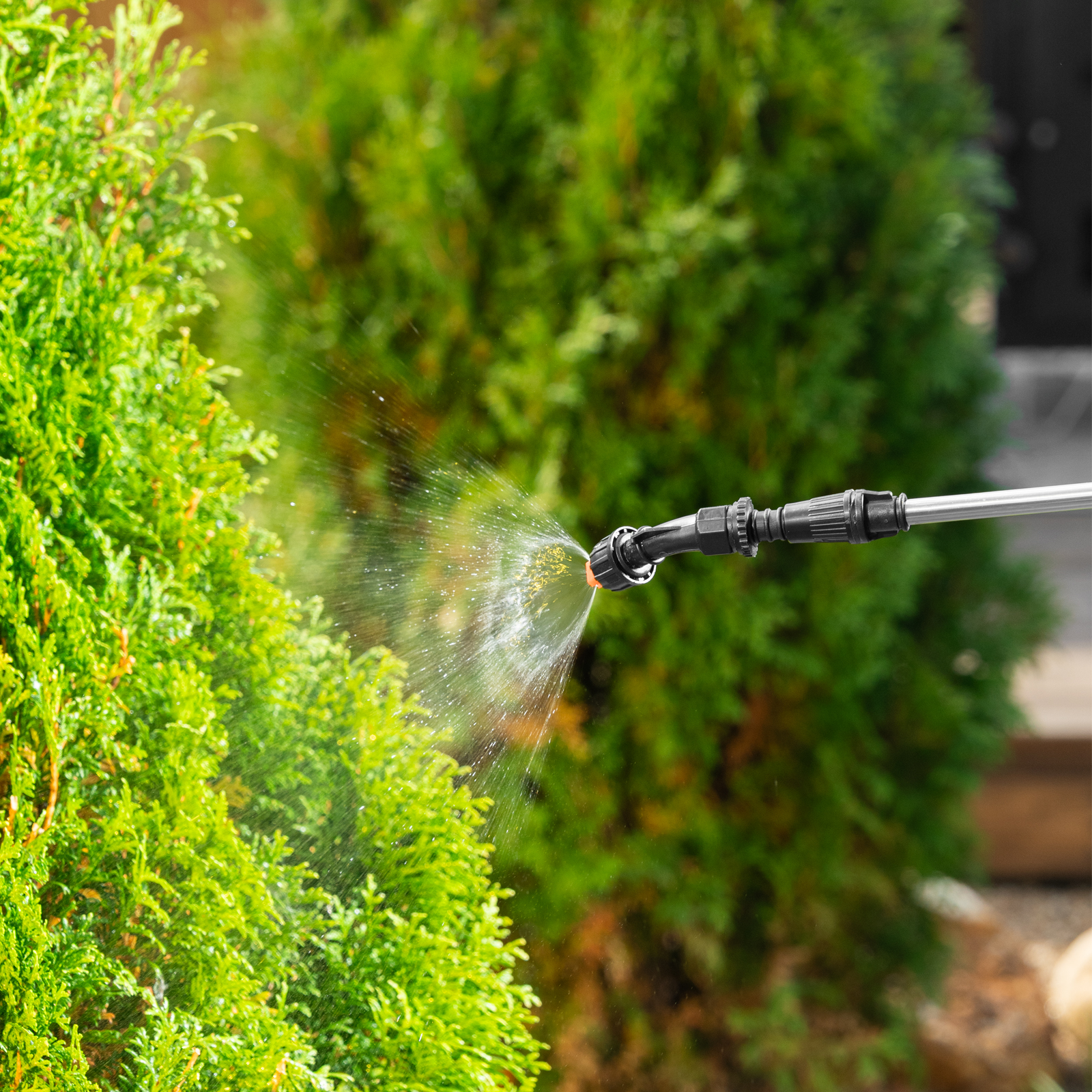 Миниатюра изображения товара 38