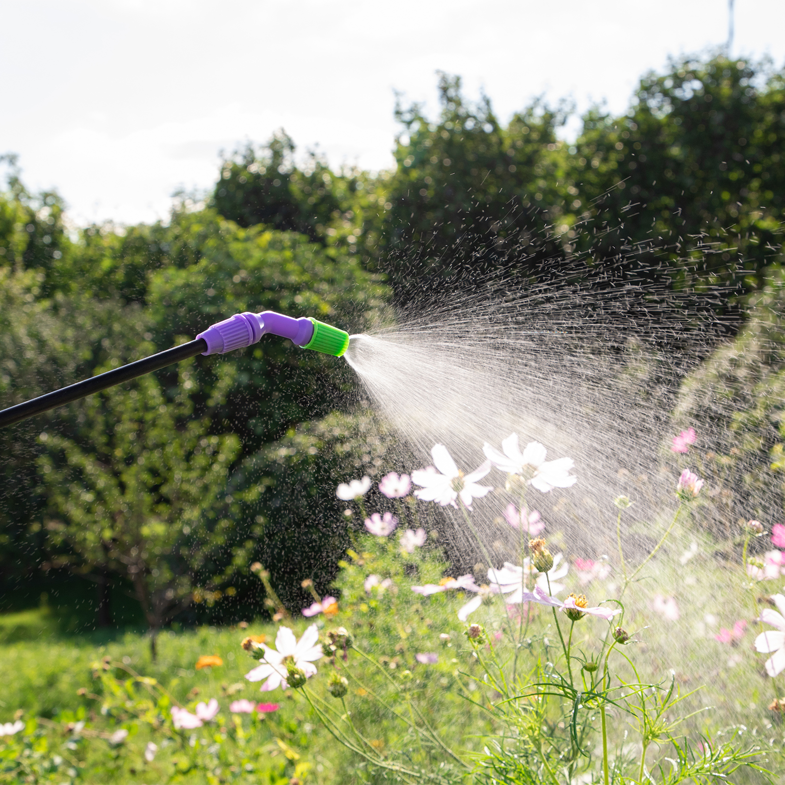 Миниатюра изображения товара 9