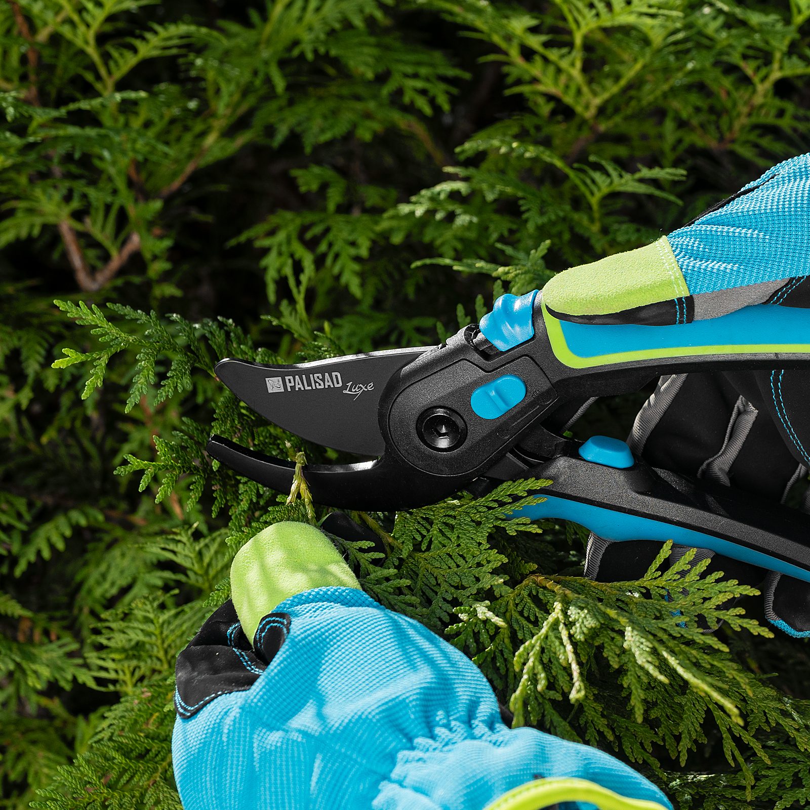 Миниатюра изображения товара 9