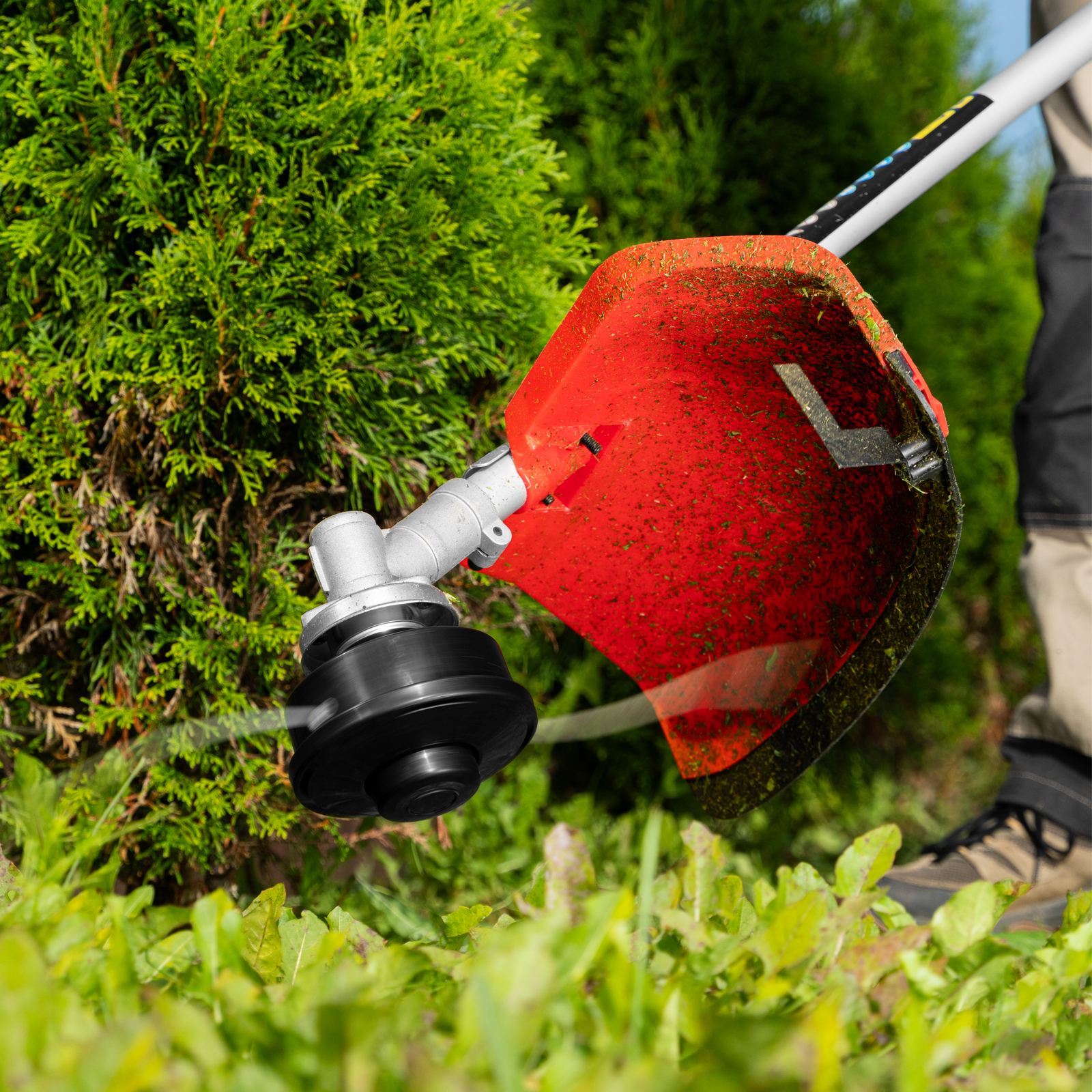 Миниатюра изображения товара 29