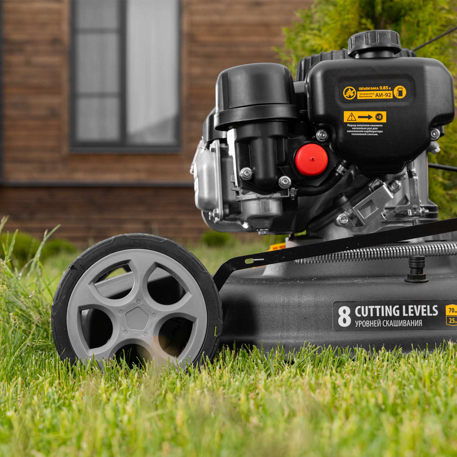 Миниатюра изображения товара 38 Миниатюра изображения товара 38