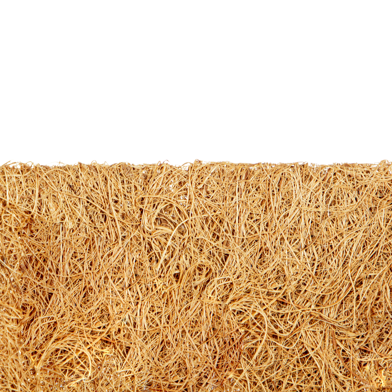 Миниатюра изображения товара 3