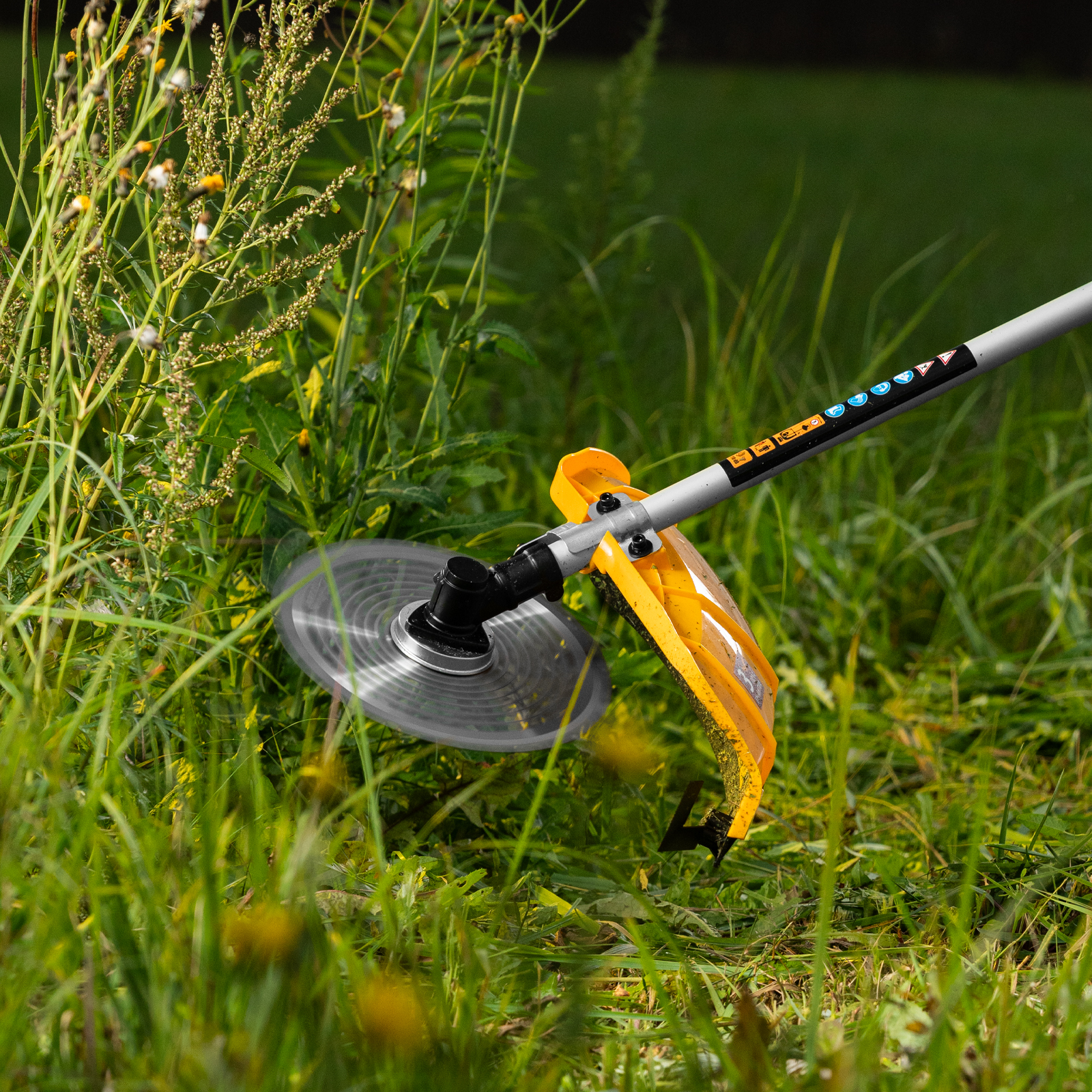 Миниатюра изображения товара 23