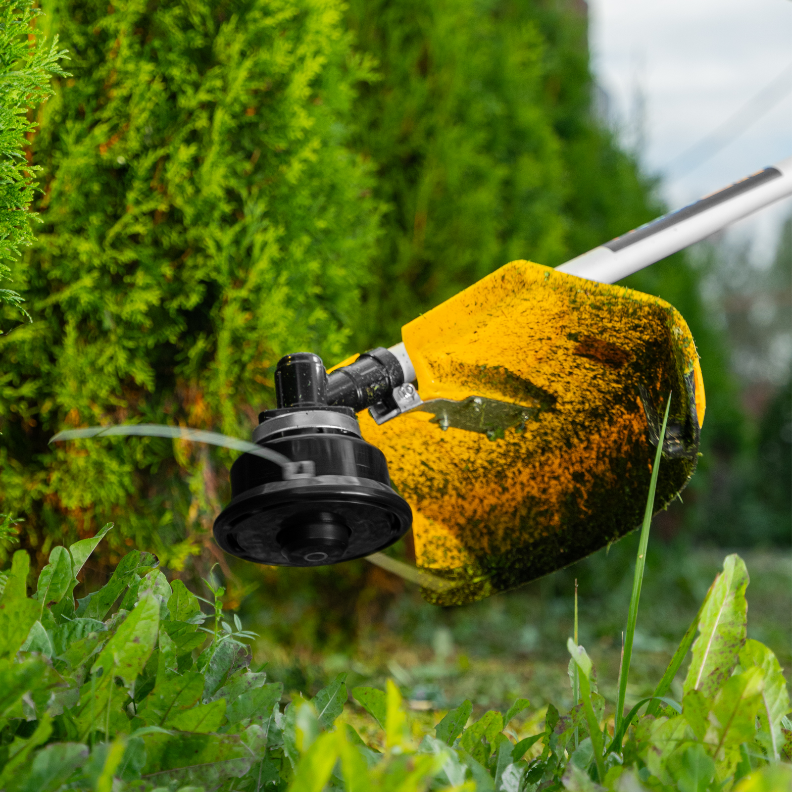 Миниатюра изображения товара 20