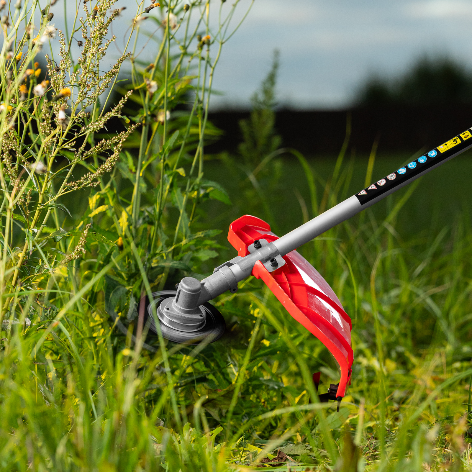 Миниатюра изображения товара 31