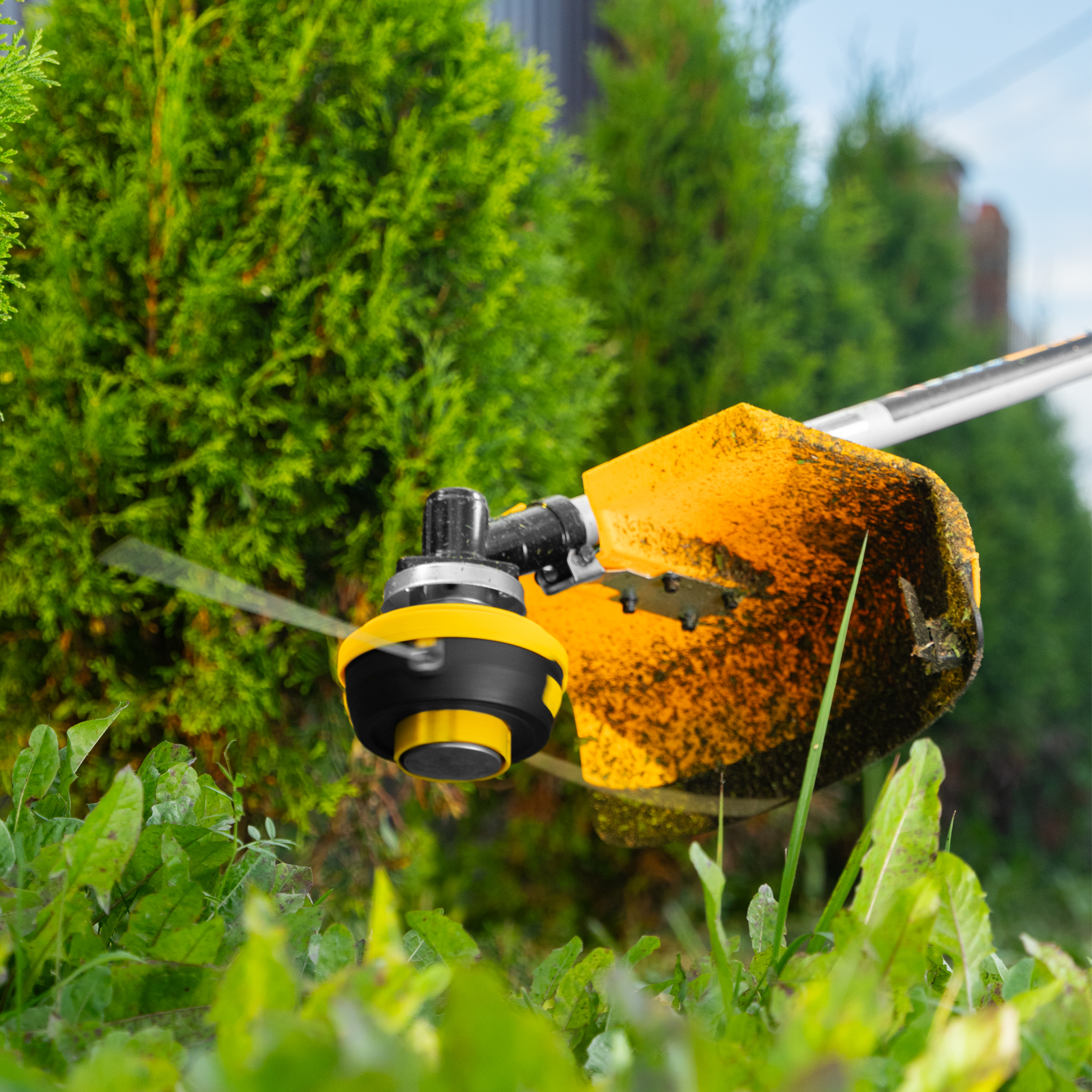 Миниатюра изображения товара 34