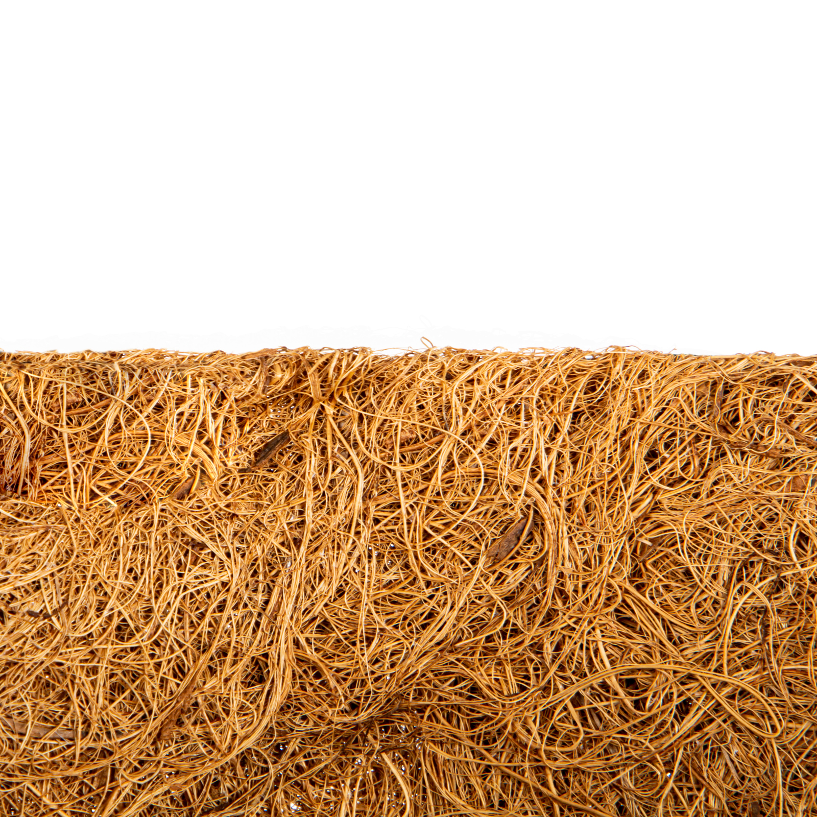 Миниатюра изображения товара 2